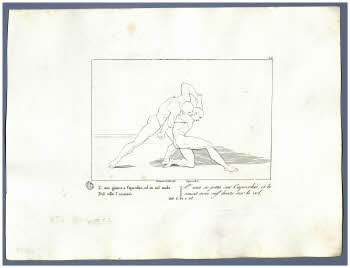 Visualizza l'immagine "Albo D 278, tav. 36"